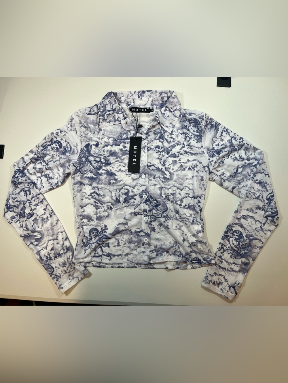 Motel Cherub Cloud Print Mesh Button Up Sheer Long Sleeve Top